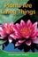 Imagem de PLANTS ARE LIVING THINGS