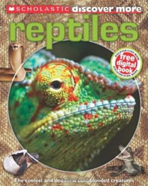 Picture of SCHOLASTIC DISCOVER MORE - REPTILES