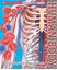 Imagem de SCHOLASTIC DISCOVER MORE - HUMAN BODY