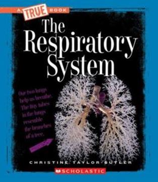 Imagem de RESPIRATORY SYSTEM, THE