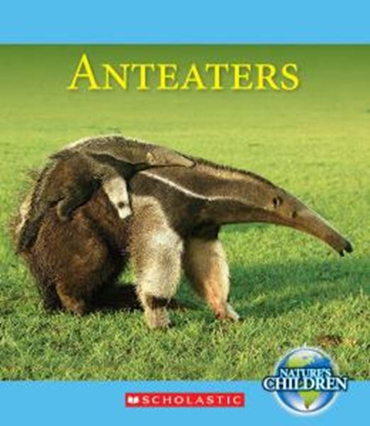 Picture of ANTEATERS