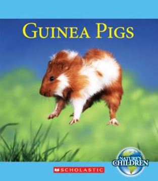 Imagem de GUINEA PIGS