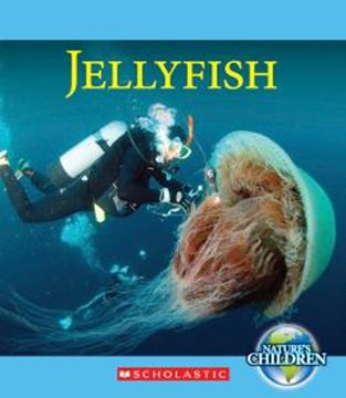 Imagem de JELLYFISH