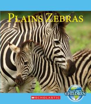Imagem de PLAINS ZEBRAS