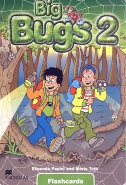 Imagem de BIG BUGS - FLASHCARDS 2