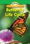 Imagem de BUTTERFLY LIFE CYCLE