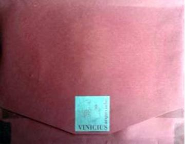 Imagem de VINICIUS UM ARQUIVINHO DO POETA