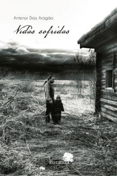 Picture of VIDAS SOFRIDAS