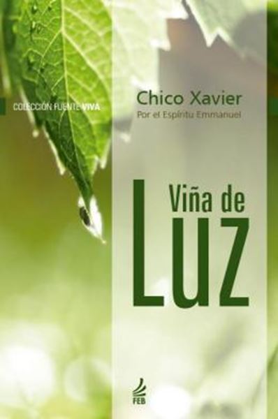 Picture of VINA DE LUZ (VINHA DE LUZ - ESPANHOL)