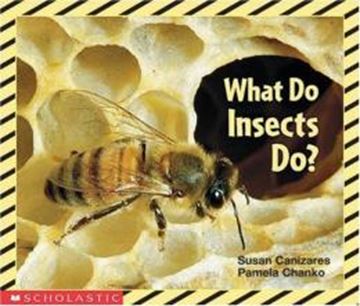 Imagem de WHAT DO INSECTS DO?