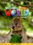 Imagem de WELCOME TO OUR WORLD 1 LESSON PLANNER - BRITISH - 2ND ED